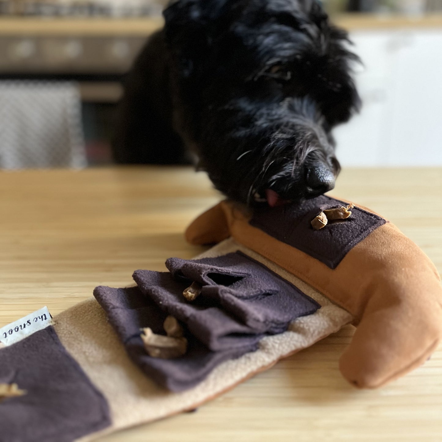 Cornetto "al cioccolato" Boopthesnoot