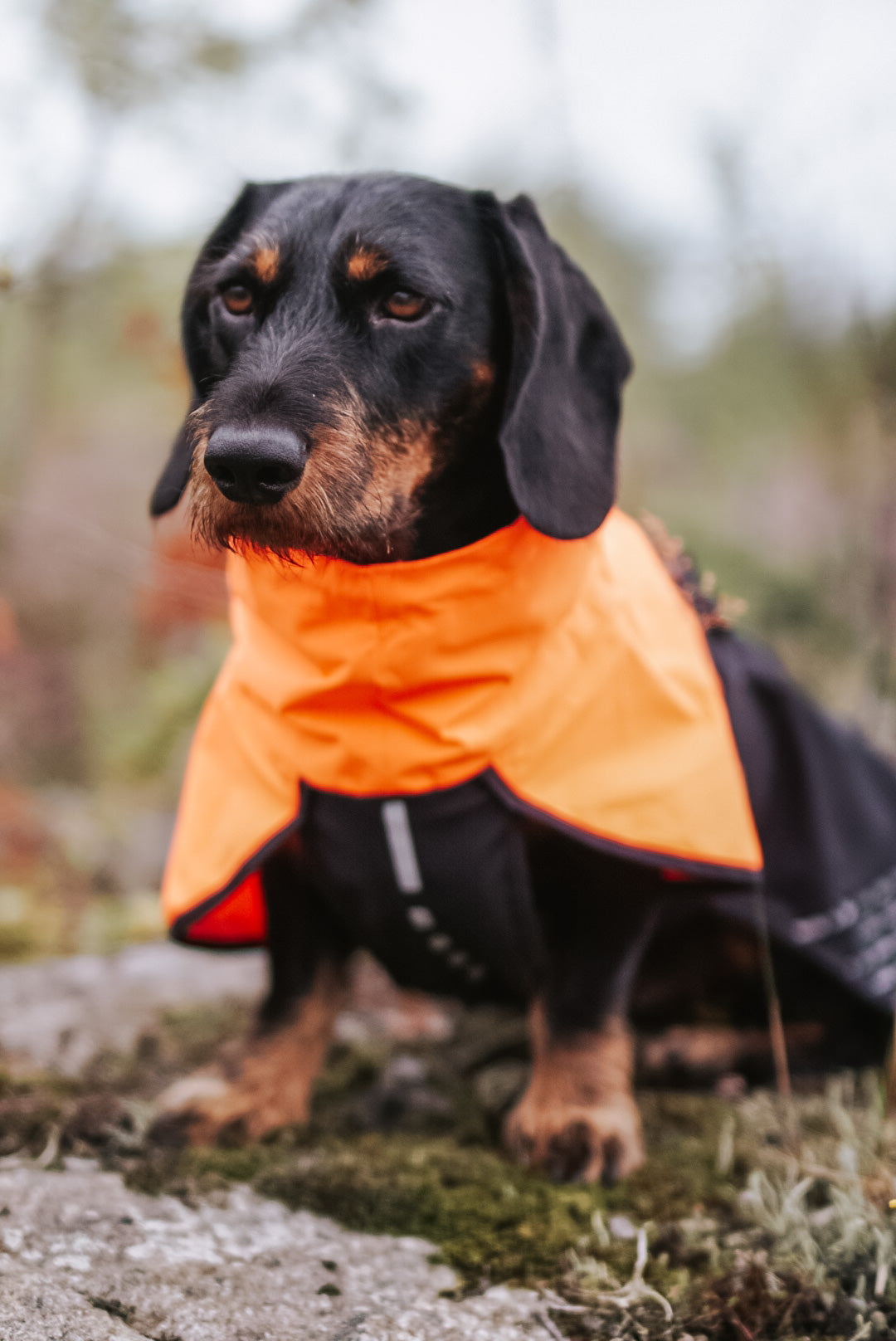 Giacca impermeabile Fjord - Non-stop Dogwear