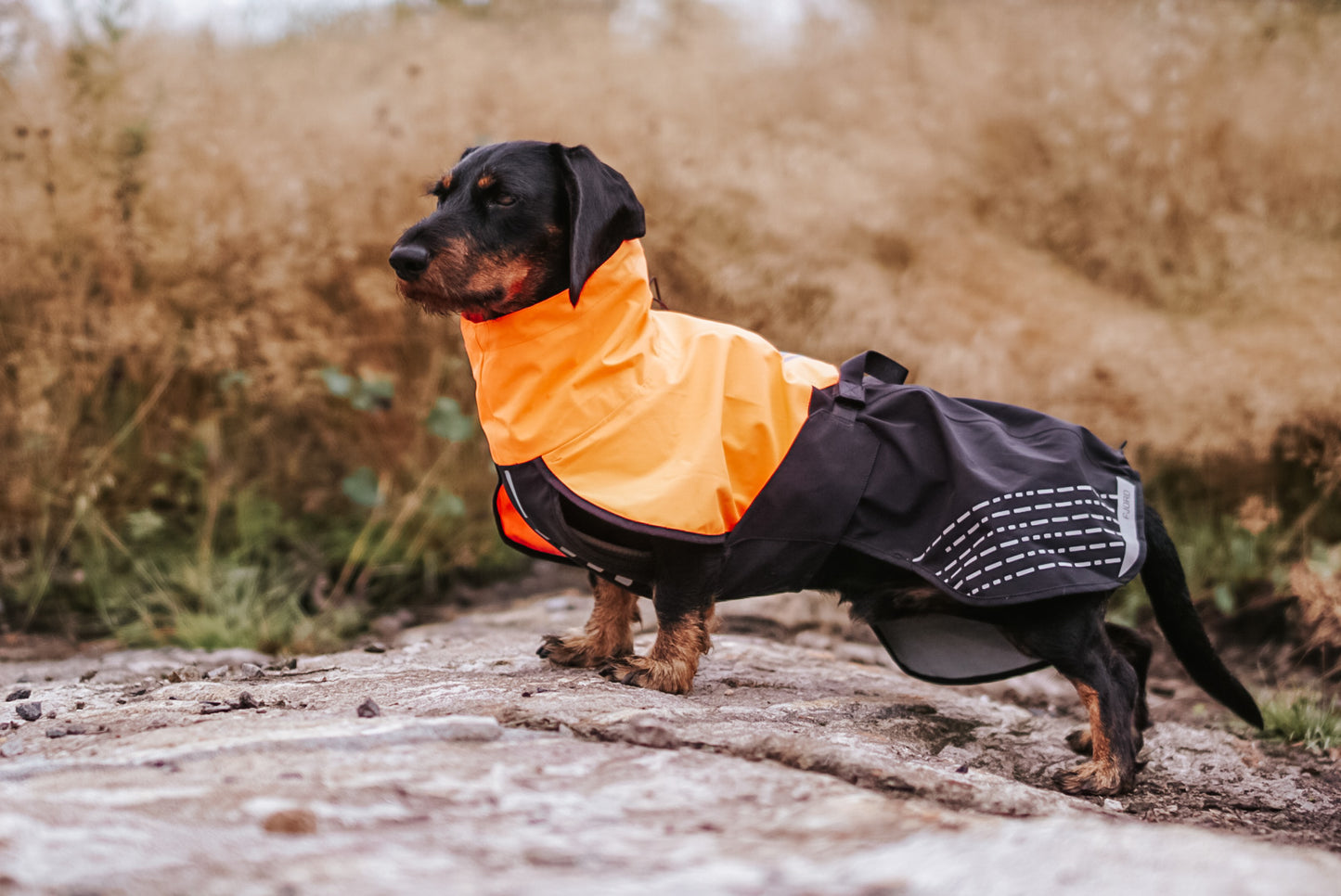 Giacca impermeabile Fjord - Non-stop Dogwear