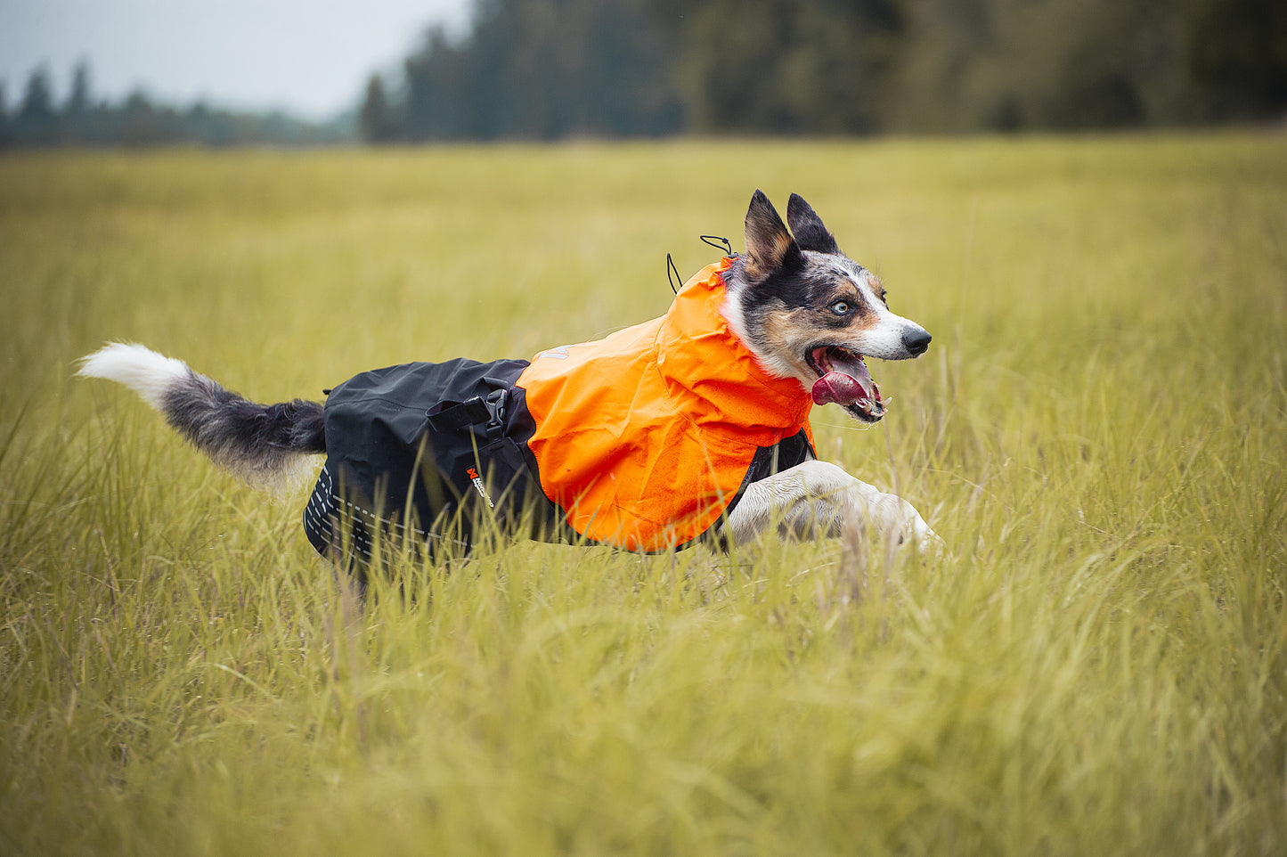 Giacca impermeabile Fjord - Non-stop Dogwear