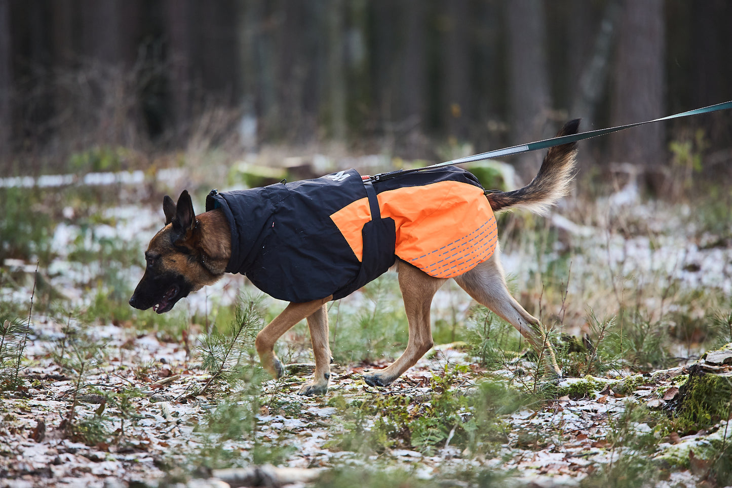 Giacca invernale imbottita Glacier 2.0 - Non-stop Dogwear