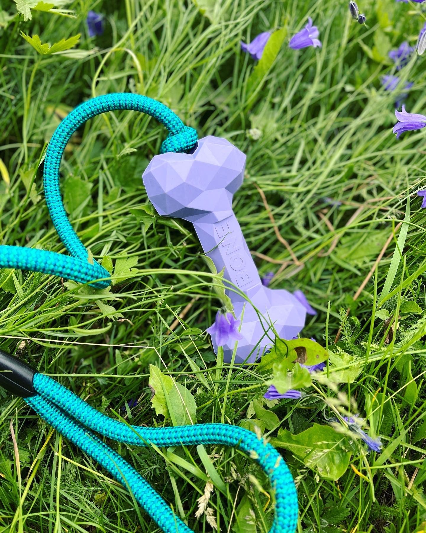 Gioco in gomma Bone - Ringhio design