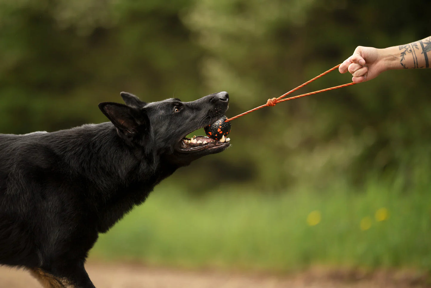 Ball on rope - Nonstop-dogwear