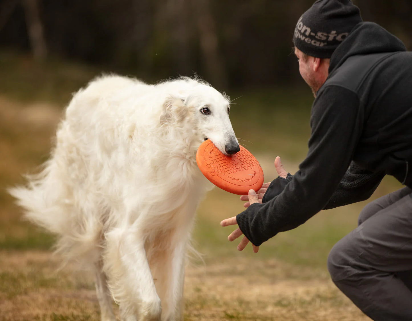 Flying Disc - Nonstop-dogwear