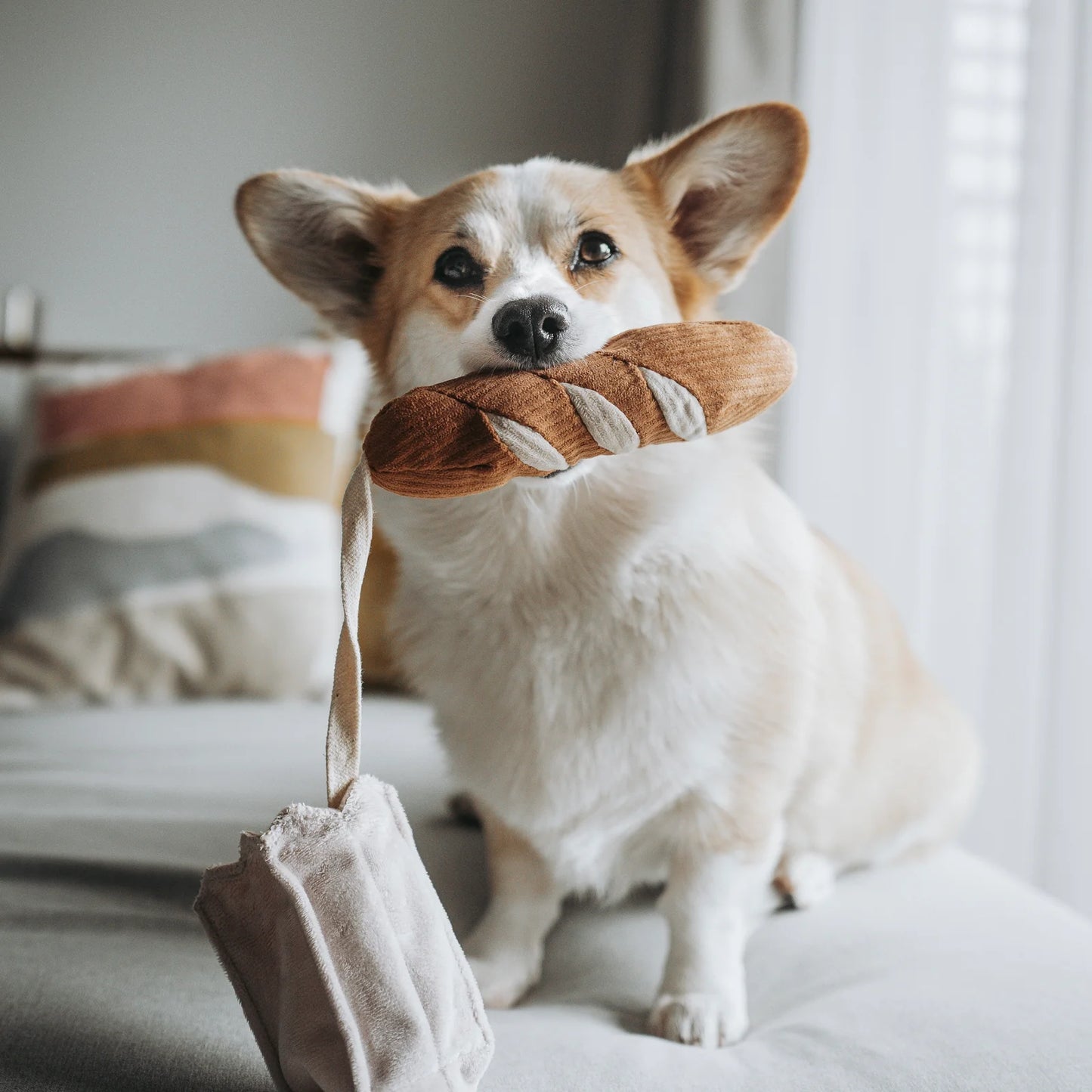 Baguette mini Lambwolf