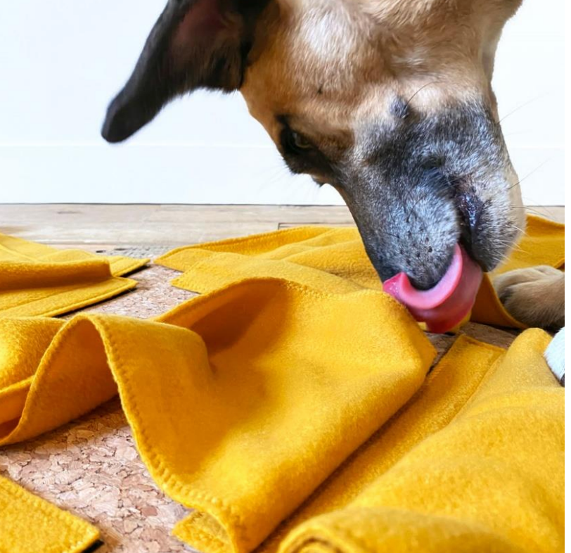ULTIMO PEZZO Tappeto olfattivo Boopthesnoot