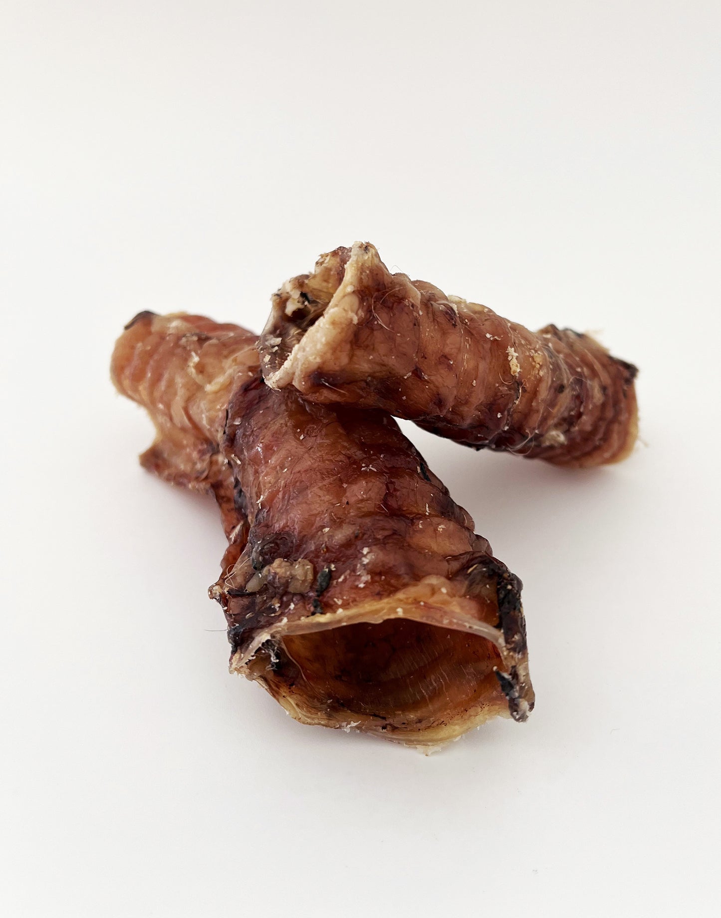 Trachea di bovino