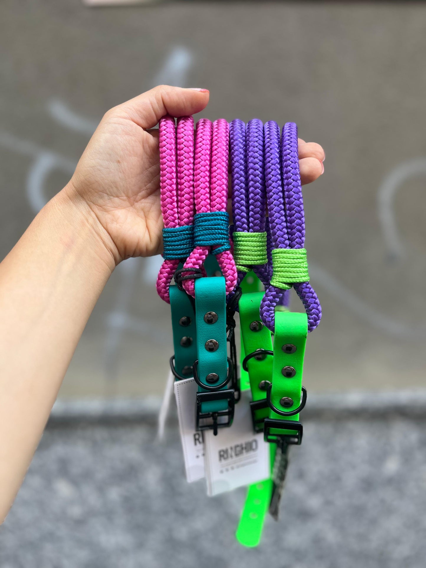 ULTIMI PEZZI - Collari Smile Ringhio design