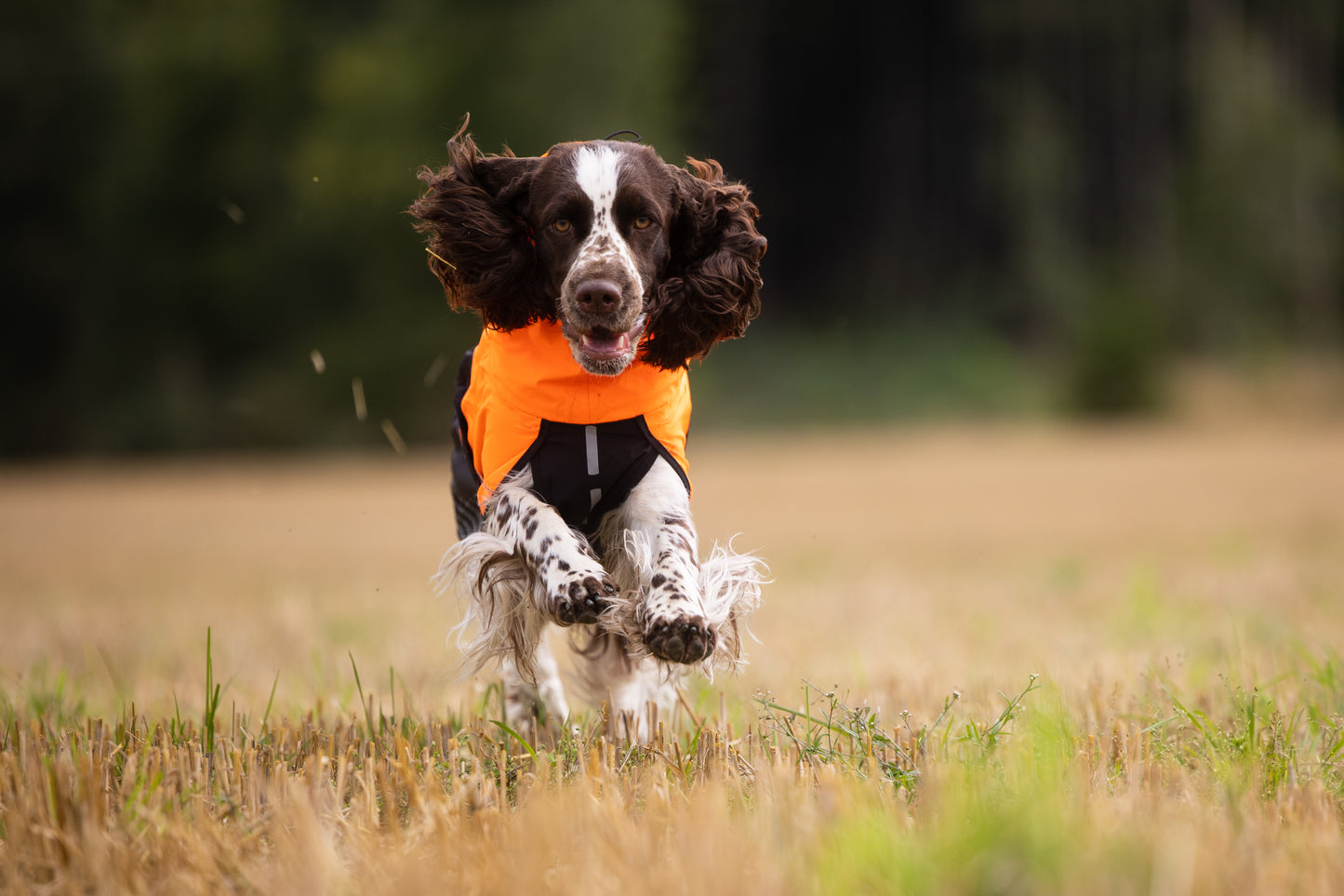 Giacca impermeabile Fjord - Non-stop Dogwear
