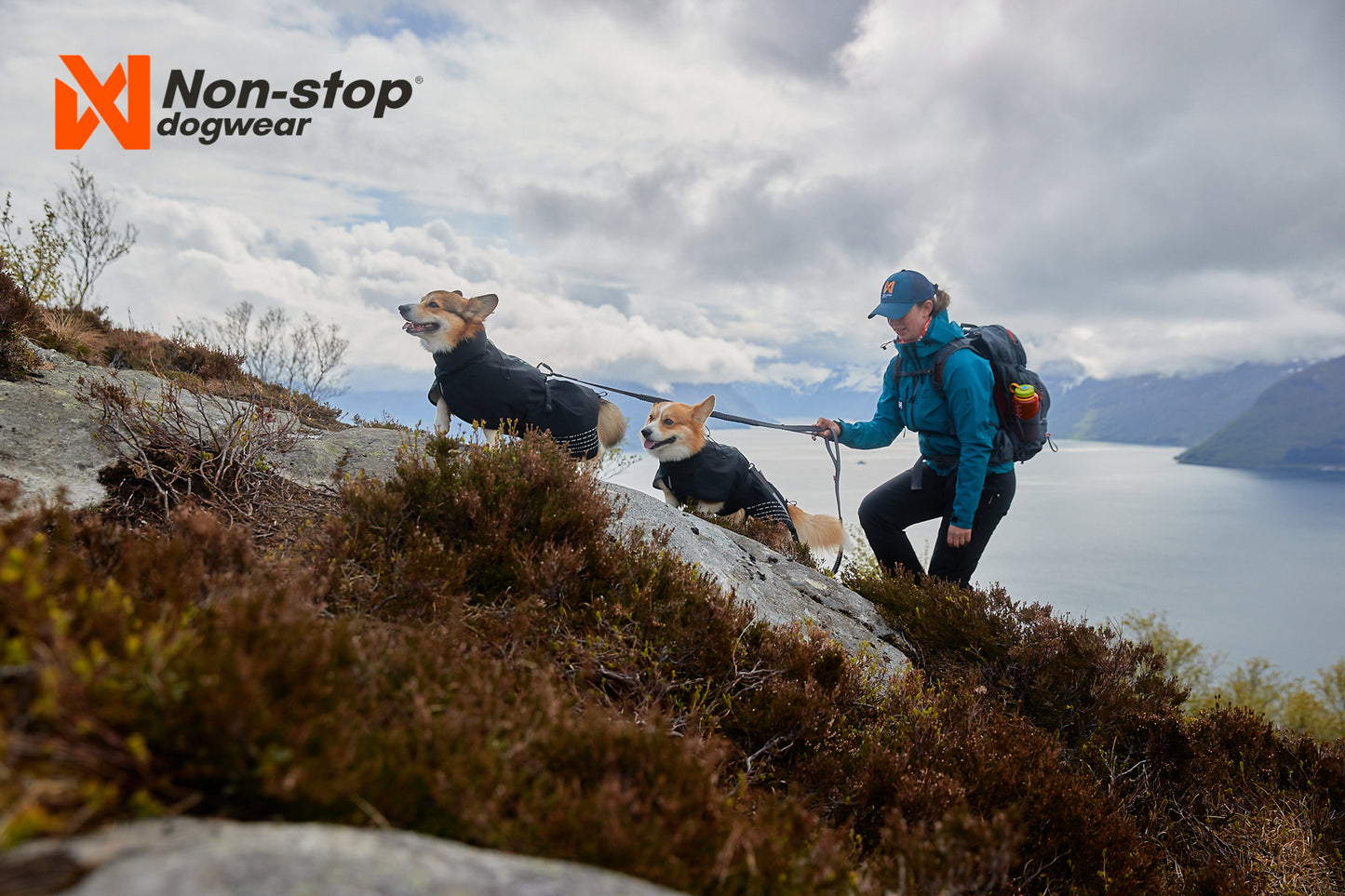Giacca impermeabile Fjord - Non-stop Dogwear