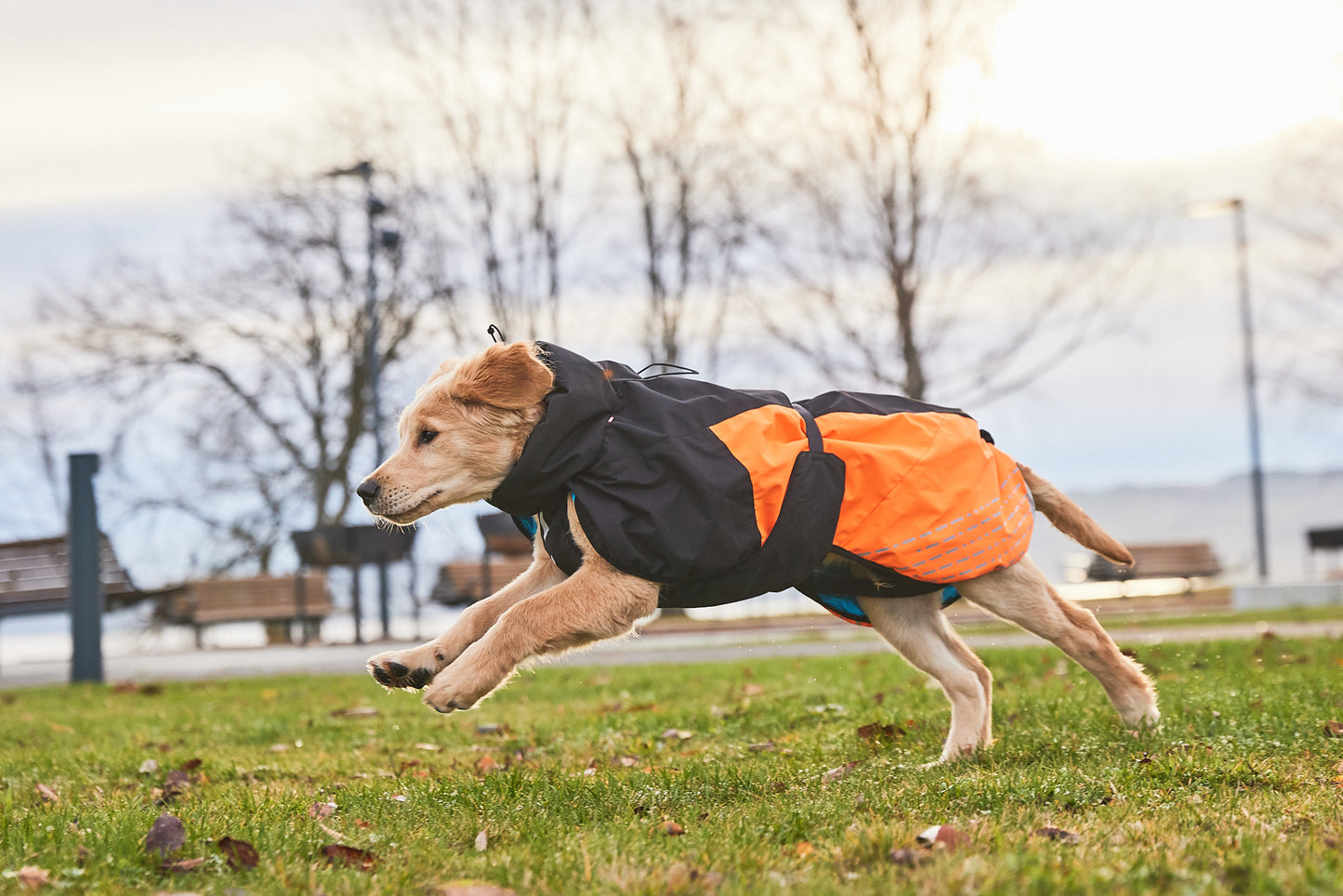 Giacca invernale imbottita Glacier 2.0 - Non-stop Dogwear