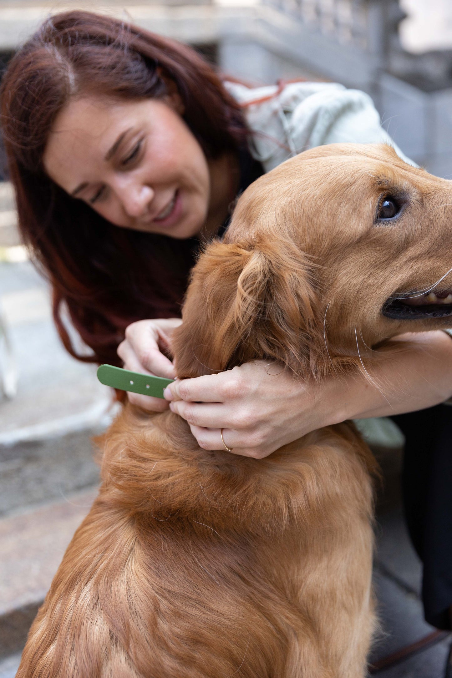 Collari per cani Smile - Ringhio design