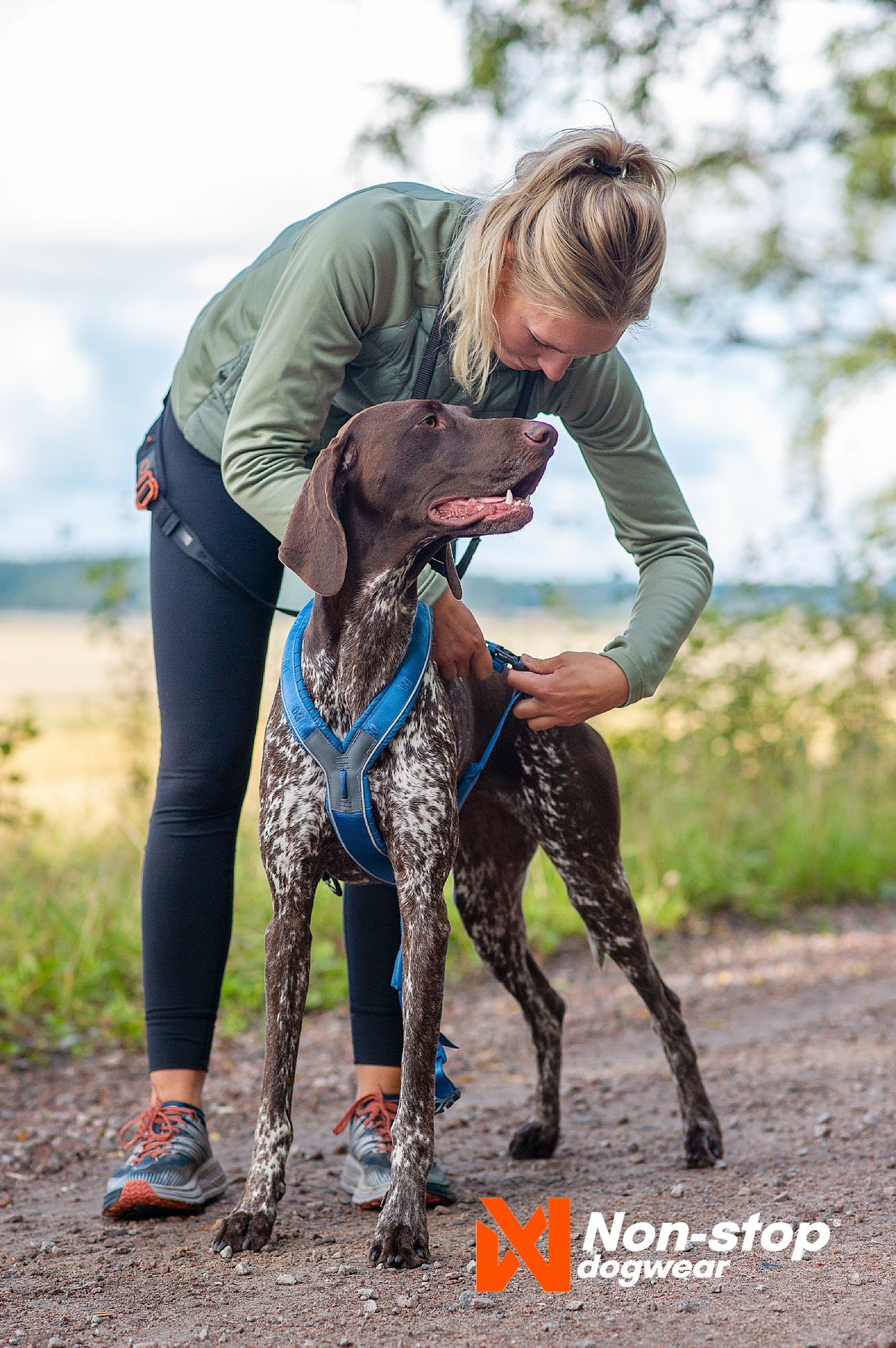 Pettorina ad H Line 5.0 - Non-Stop Dogwear