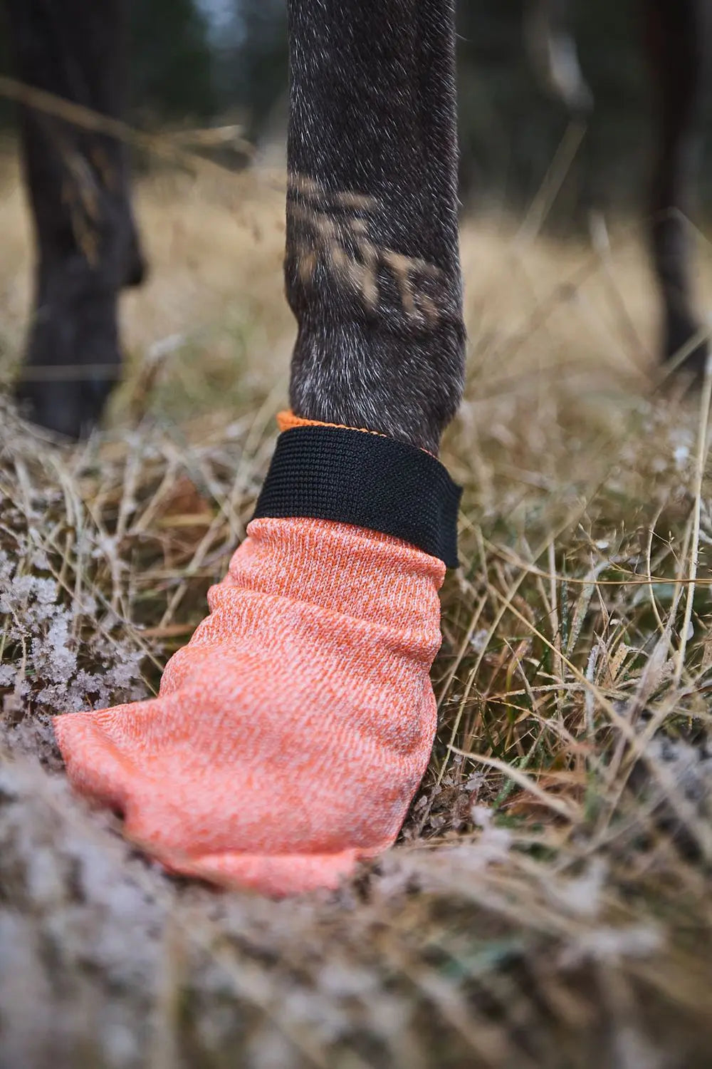 Protector light socks