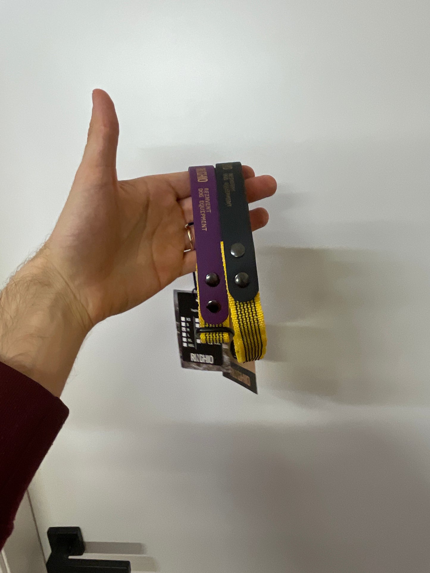 ULTIMI PEZZI - Collari Duo Ringhio design