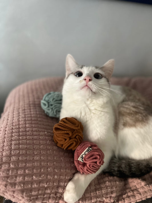 Snuffoline per gatti