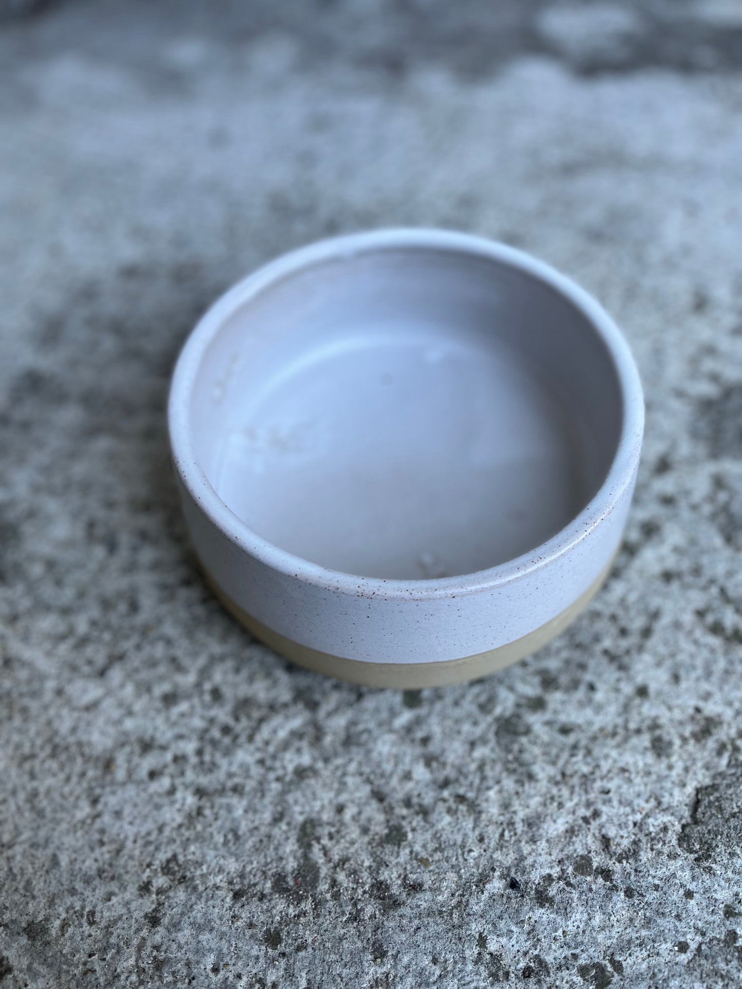 Ciotole per cani e gatti in ceramica