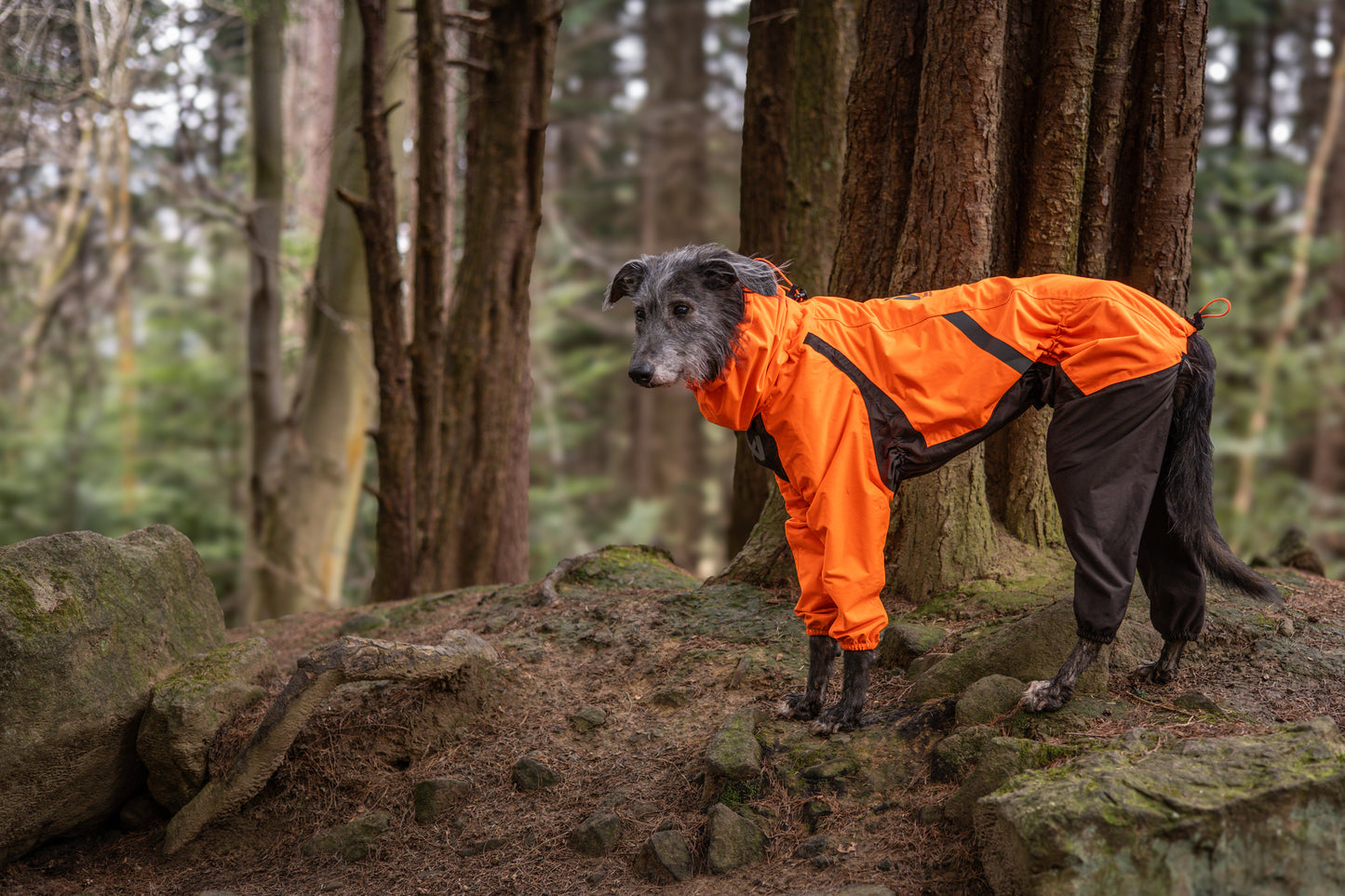 Giacca impermeabile Fjord overall - Non-stop Dogwear