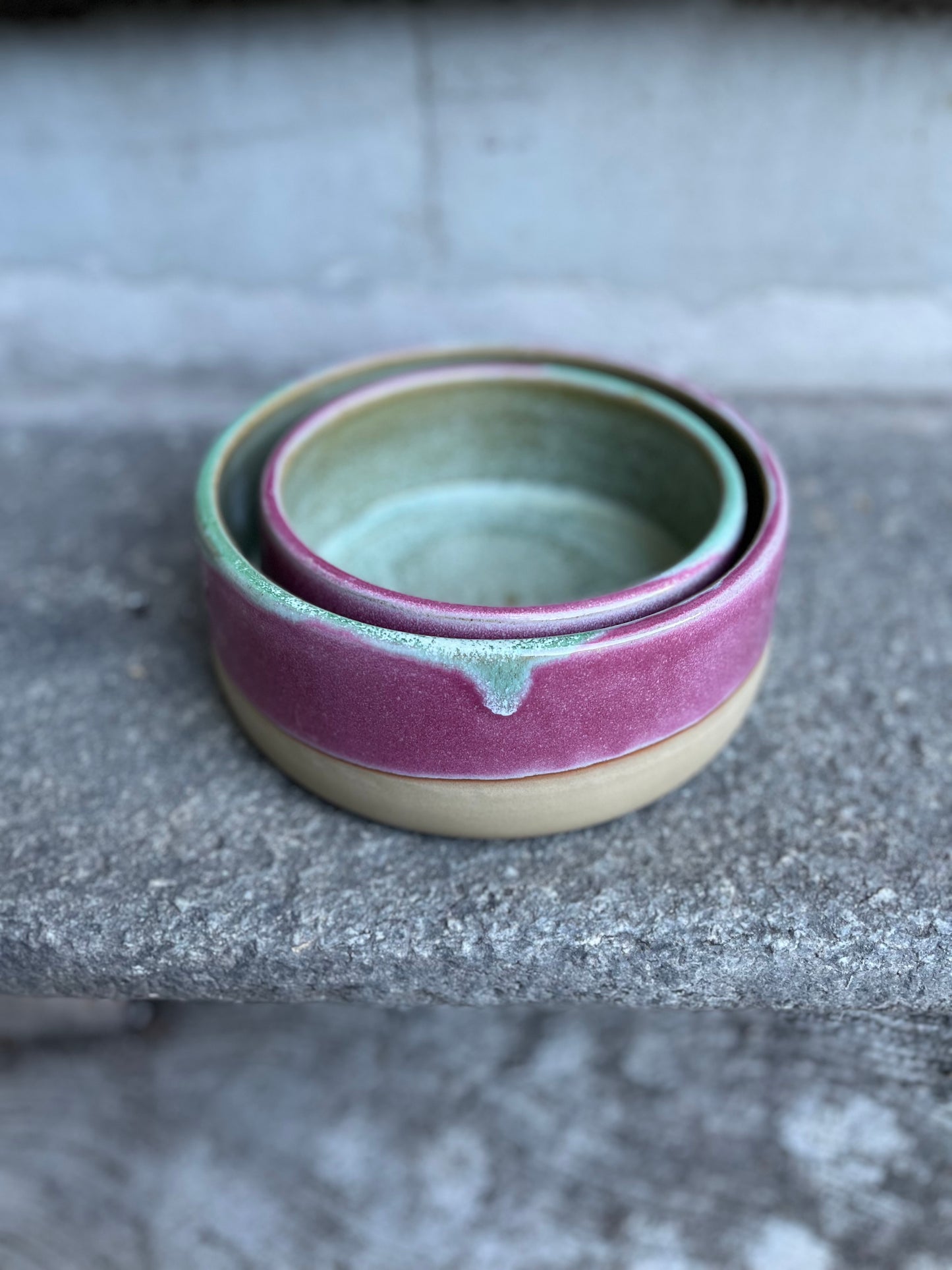 Ciotole per cani e gatti in ceramica