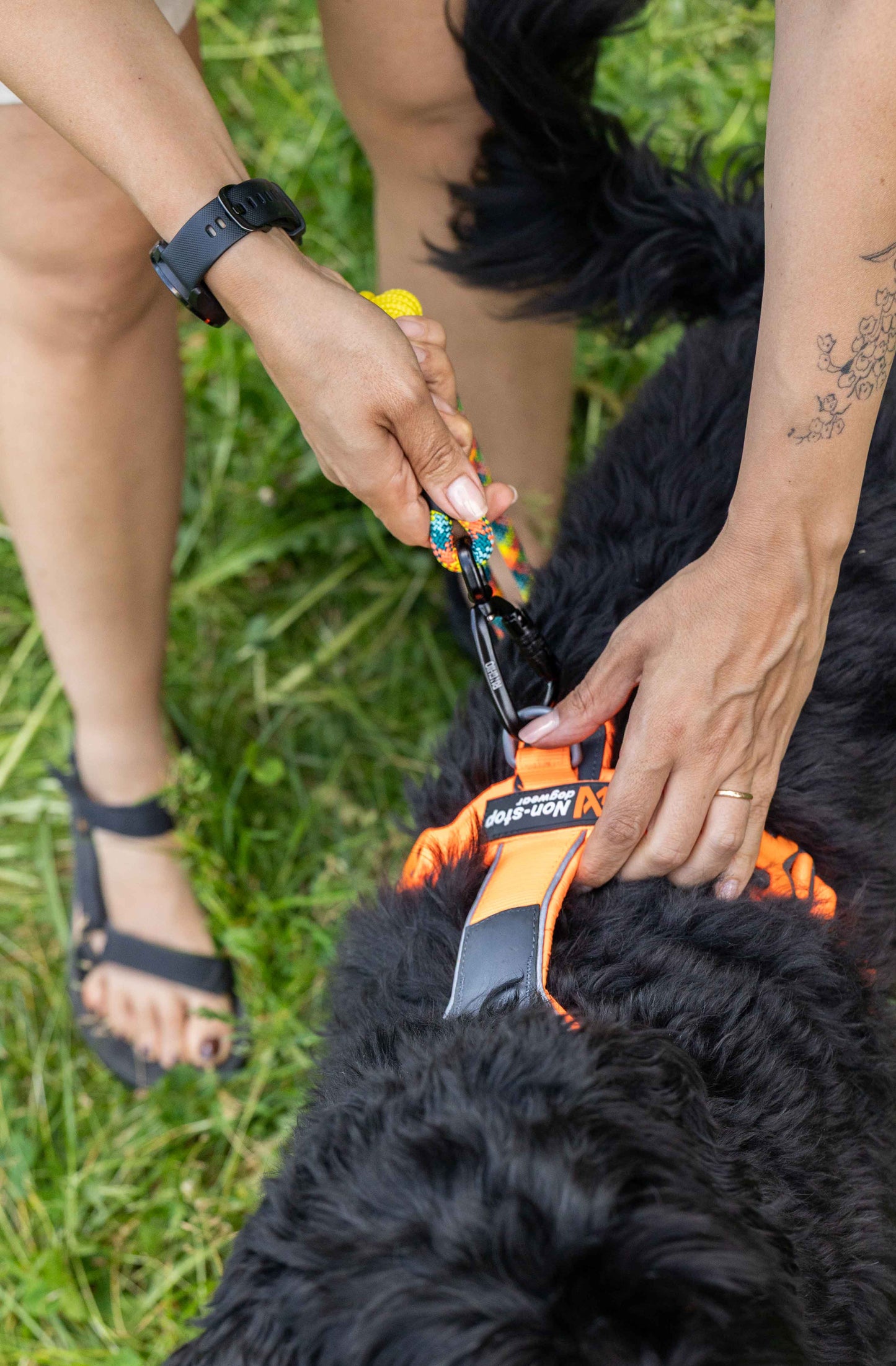 Pettorina ad H Line 5.0 - Non-Stop Dogwear