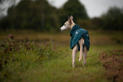 Giacca impermeabile imbottita Lined Fjord - Non-stop Dogwear