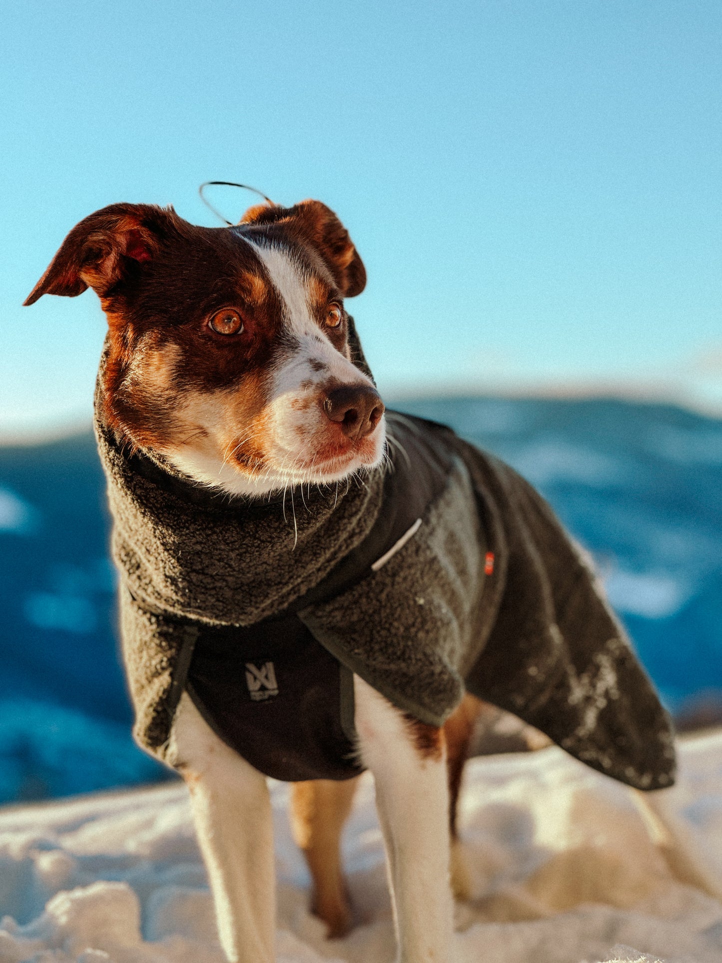 Giacca in lana - Non-stop Dogwear