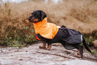 Giacca impermeabile Fjord - Non-stop Dogwear