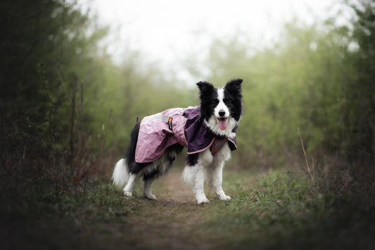 Giacca impermeabile Fjord 2.0 - Non-stop Dogwear