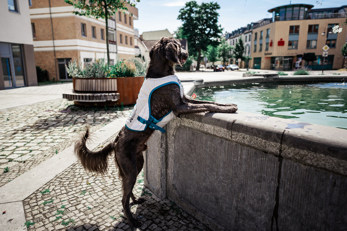 Giubbotto rinfrescanti Cooling vest - Non-stop Dogwear
