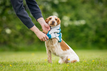 Giubbotto rinfrescanti Cooling pull on - Non-stop Dogwear