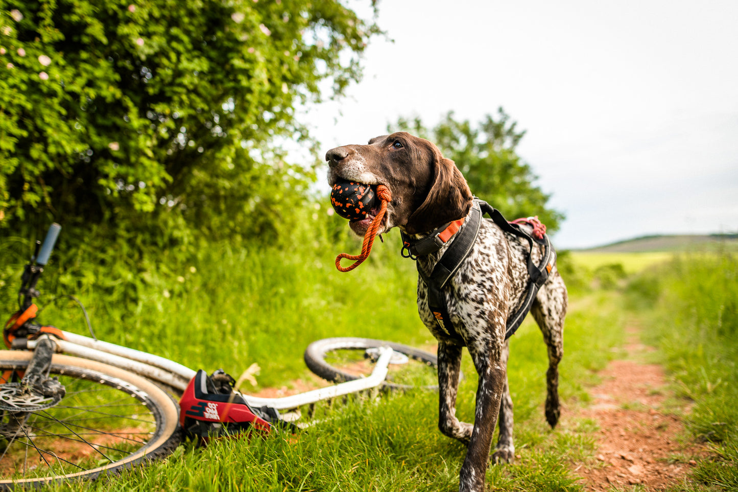 Ball on rope - Nonstop-dogwear