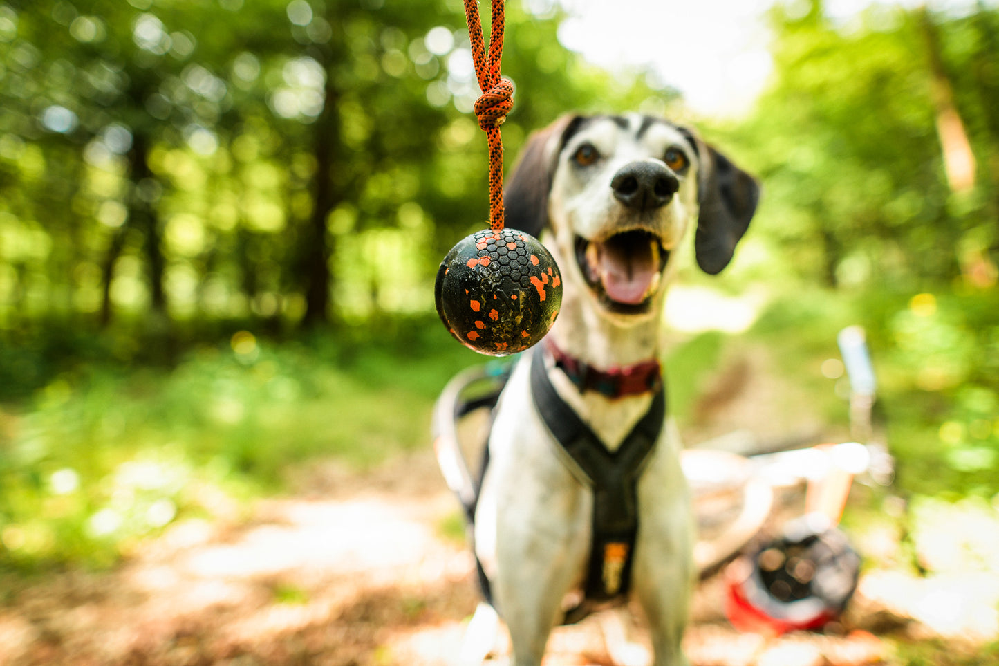Ball on rope - Nonstop-dogwear