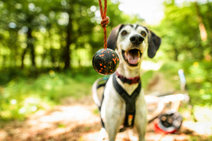 Ball on rope - Nonstop-dogwear