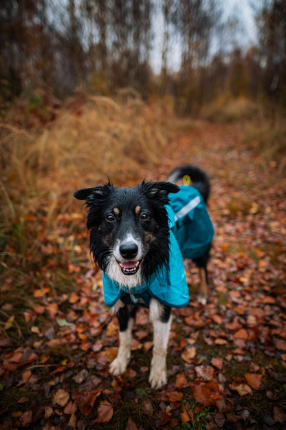 Giacca impermeabile Fjord 2.0 - Non-stop Dogwear