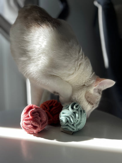 Snuffoline per gatti