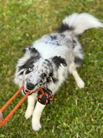 Ball on rope - Nonstop-dogwear
