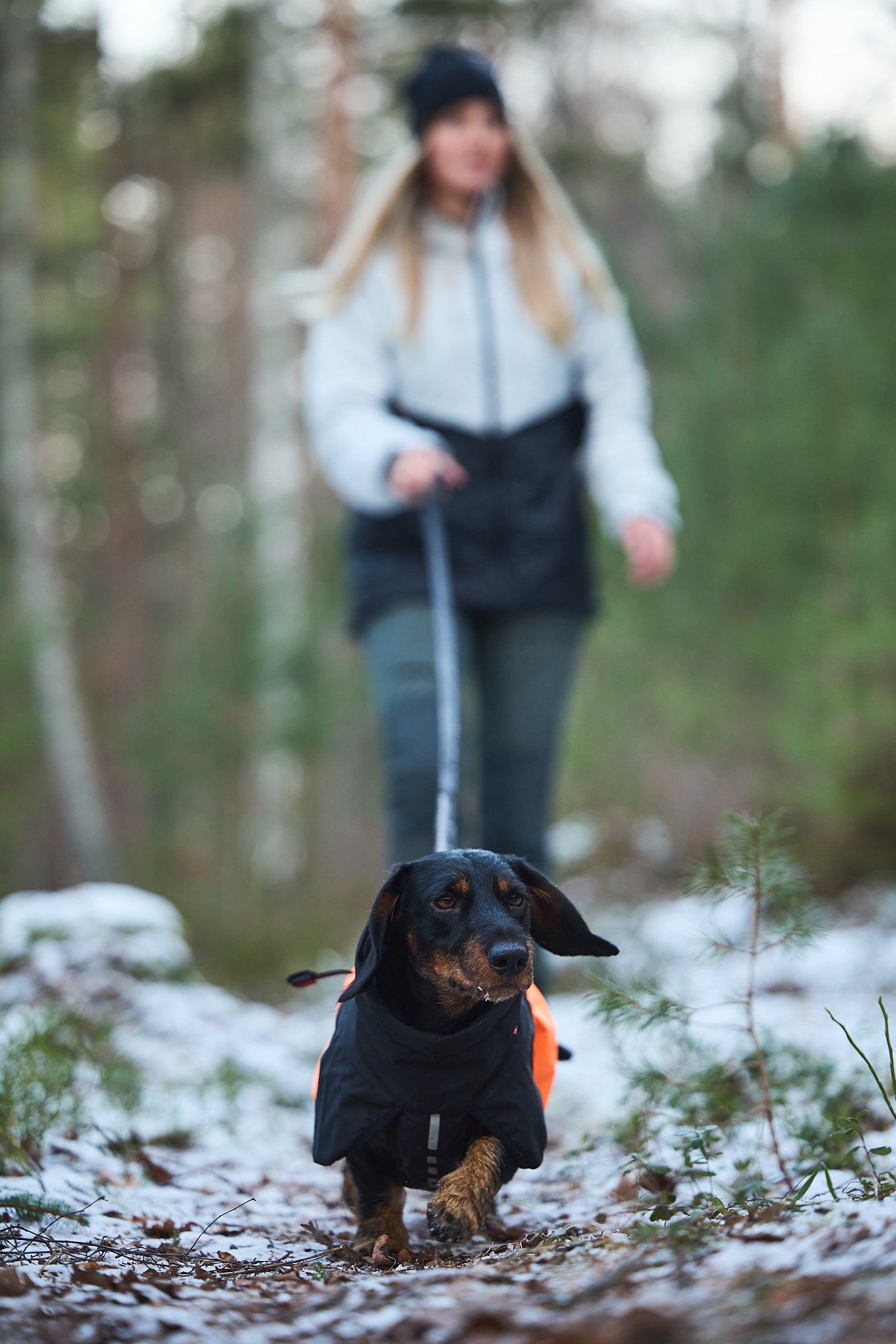 Giacca invernale imbottita Glacier 2.0 - Non-stop Dogwear