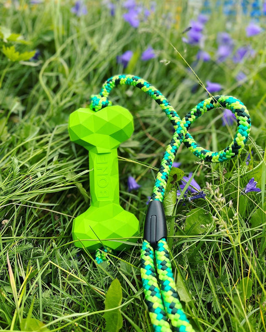 Gioco in gomma Bone - Ringhio design