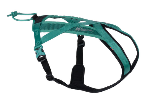 Pettorina Rush- Non-Stop Dogwear