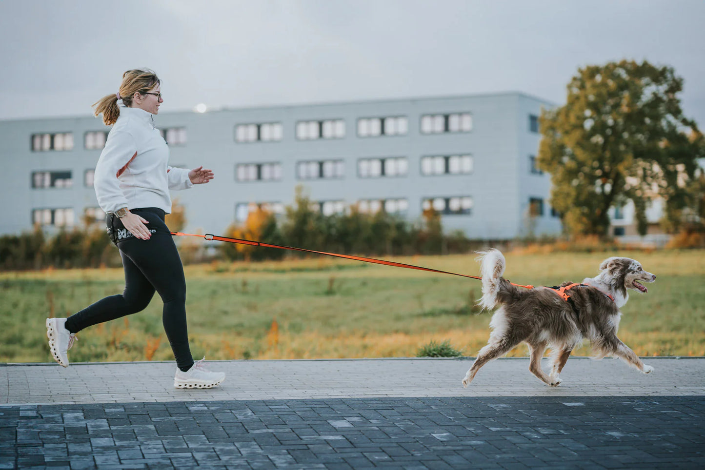 Pettorina Rush- Non-Stop Dogwear