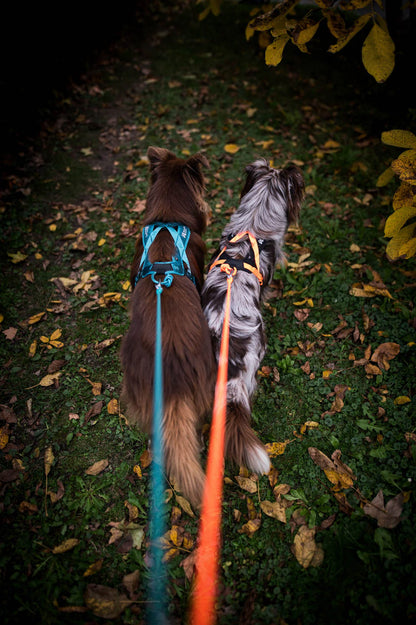 Pettorina Rush- Non-Stop Dogwear