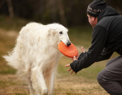 Flying Disc - Nonstop-dogwear