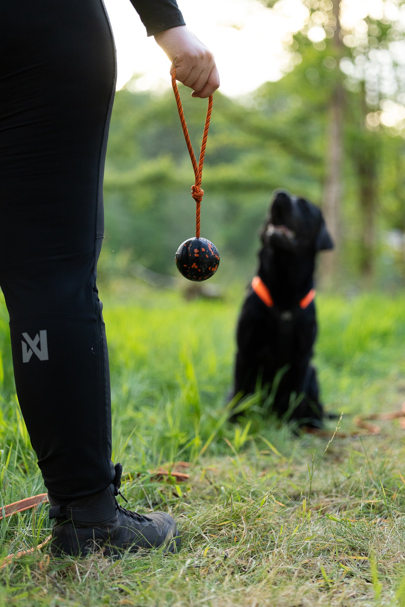 Ball on rope - Nonstop-dogwear