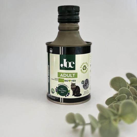 Olio Cat Adult