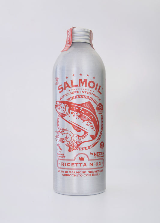 Salmoil ricetta 2 - Benessere intestinale