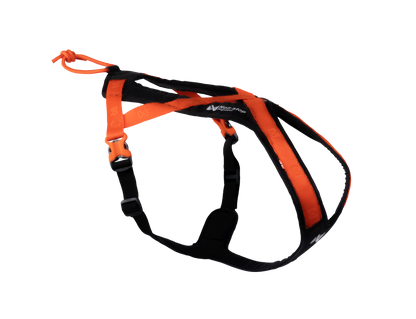 Pettorina Rush- Non-Stop Dogwear