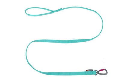 Bungee leash