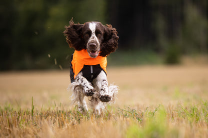 Giacca impermeabile Fjord - Non-stop Dogwear