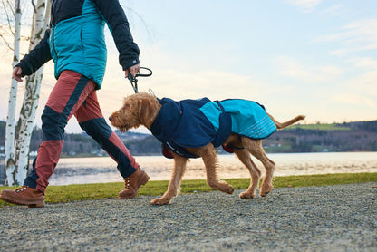 Giacca invernale imbottita Glacier 2.0 - Non-stop Dogwear