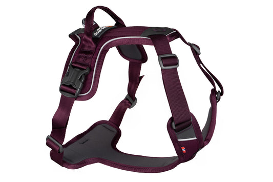 Pettorina ad H Ramble - Non-Stop Dogwear